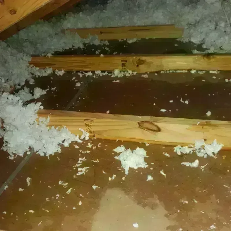 Attic Water Damage in Green Cove Springs, FL